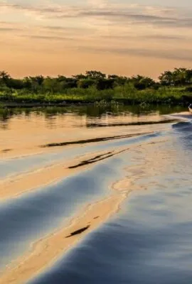 Paraguay boat on calm waters
