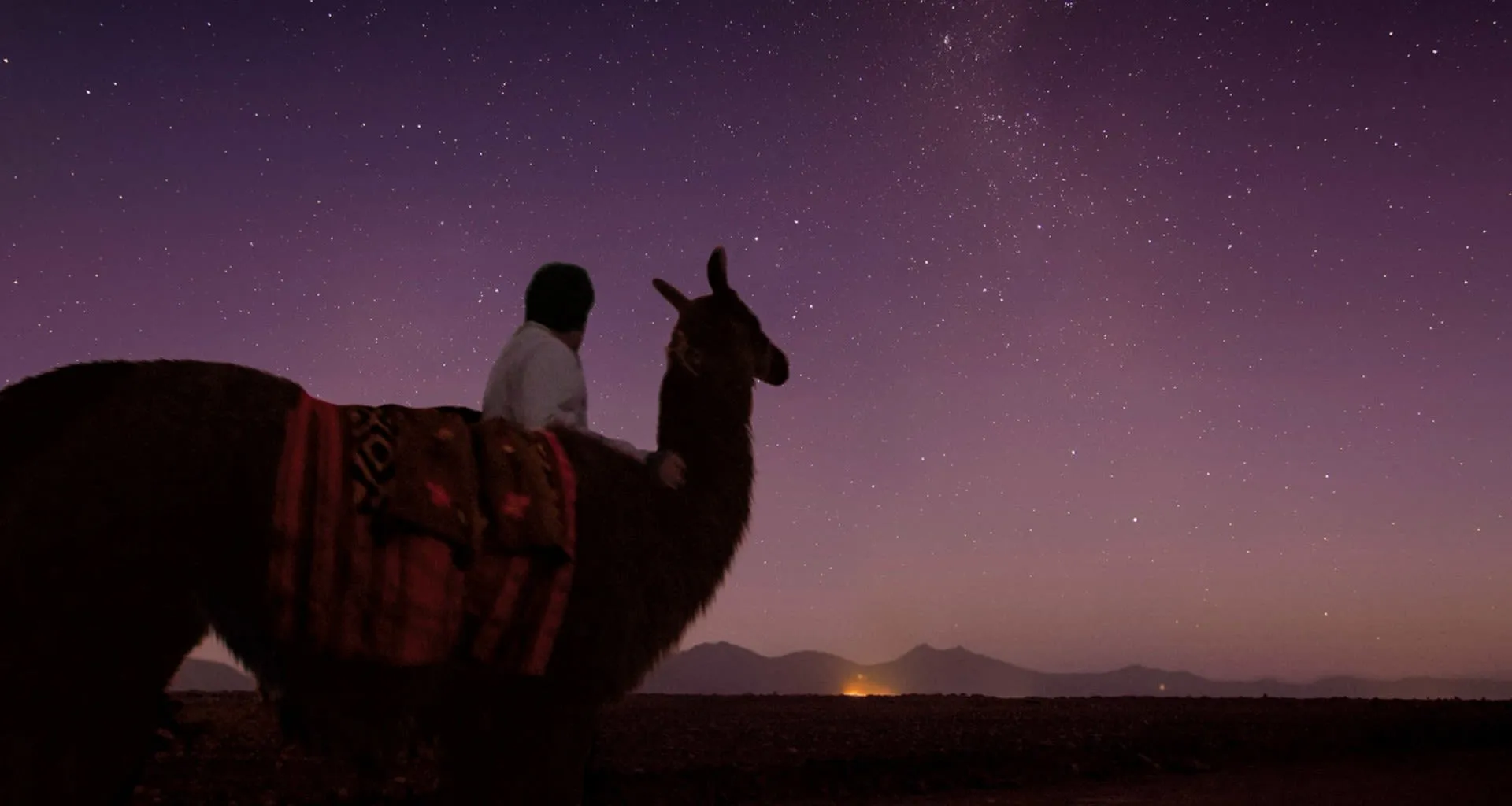 Person and llama stand in front of starry sky