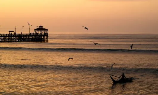 fisherman boating during sunset