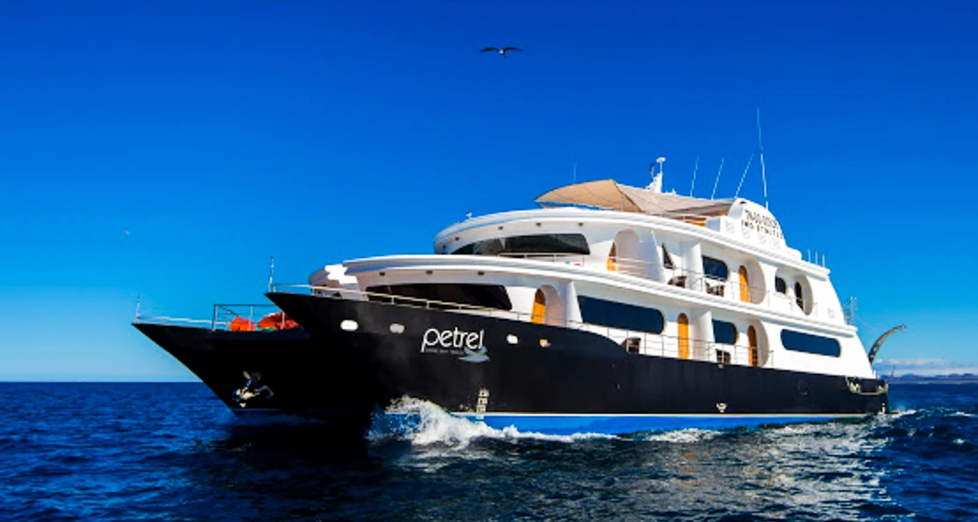 Petrel cruise ship on the ocean