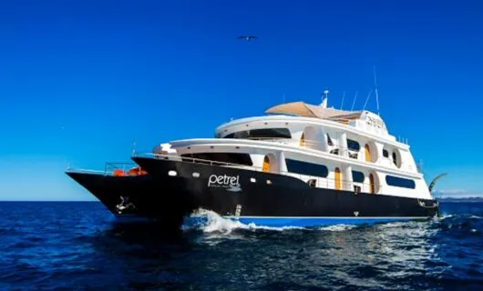 Petrel cruise ship on the ocean