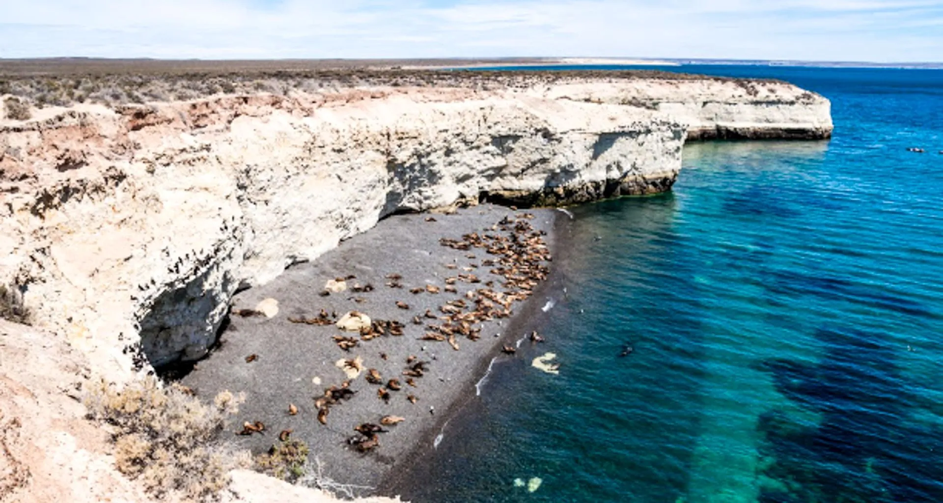Rocky coast and beach of Puerto Madryn