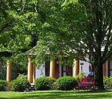 Hotel nearby beautiful green trees