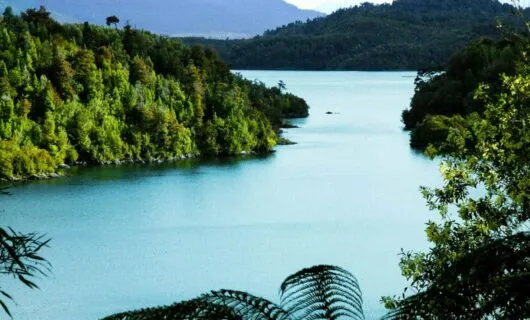 Aerial view of Puyuhuapi Channel