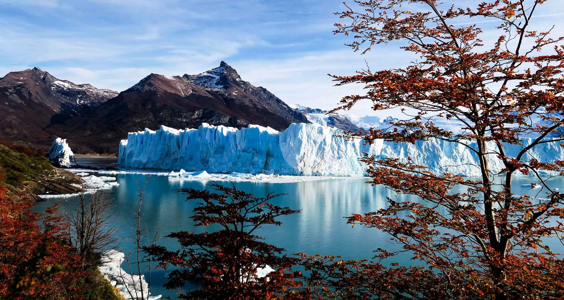 Red-leafed trees in front of Patagonia glacier