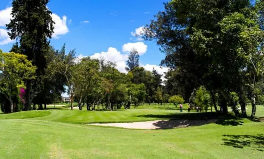 Green of golf club at San Andres