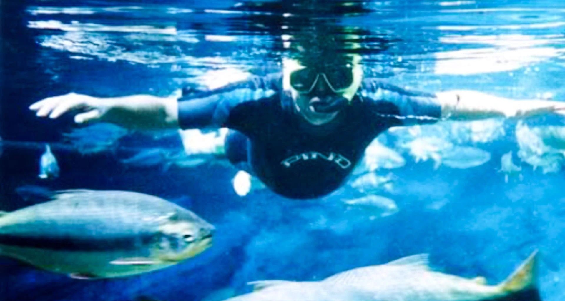 Snorkeler looks at fish