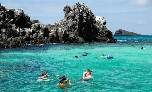 group of travelers snorkeling