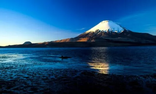 Snow capped peak behind marsh