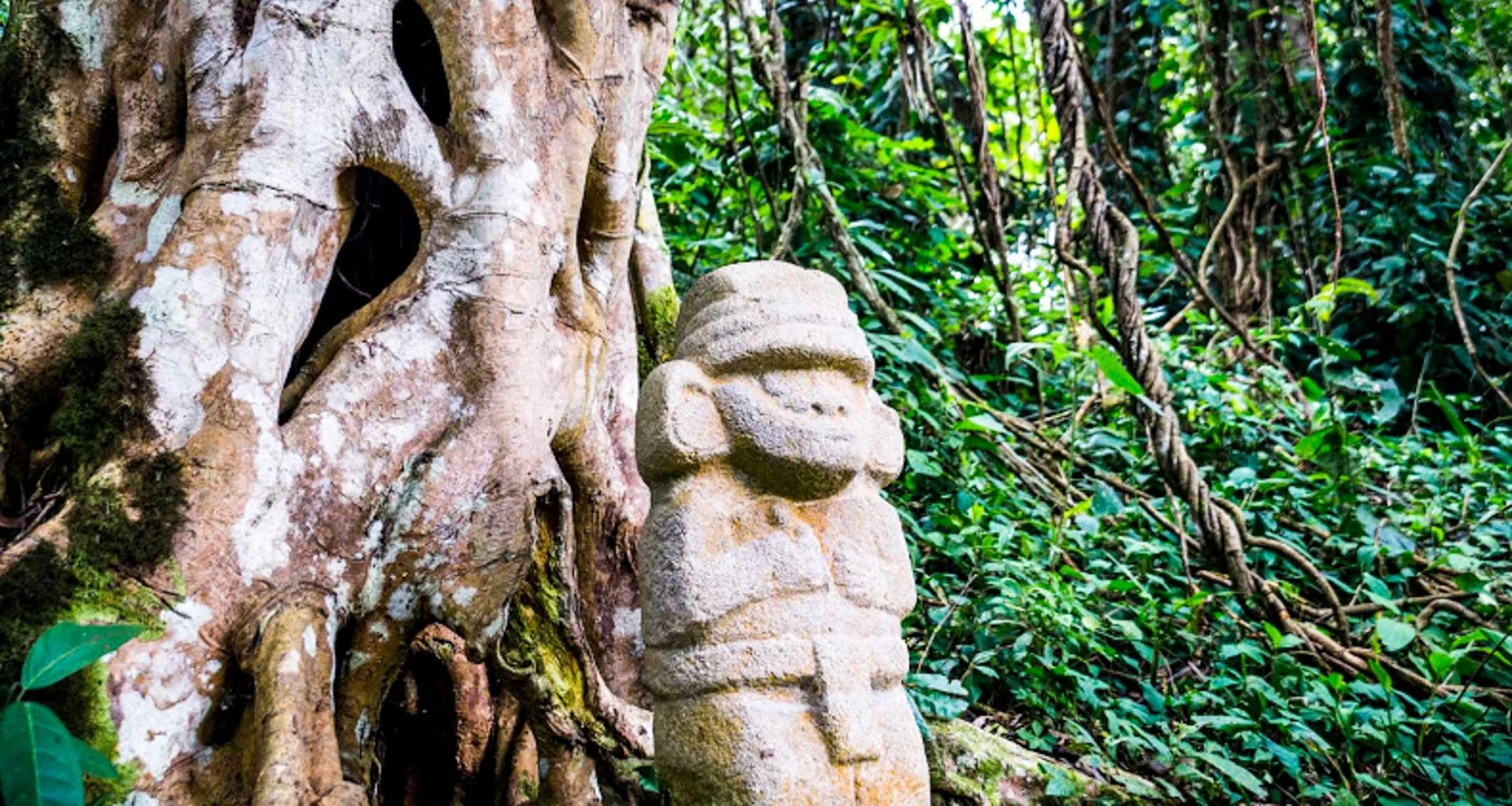 Statue sits in front of jungle tree