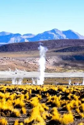 Natural Steam vents in South America