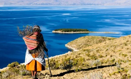 Woman gathers sticks near coastline