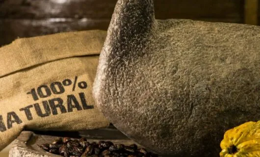 Bag of cacao beans near large stone