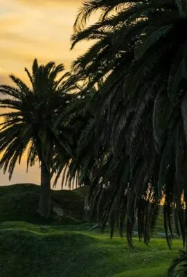Two people stand on hill in Uruguay at sunset