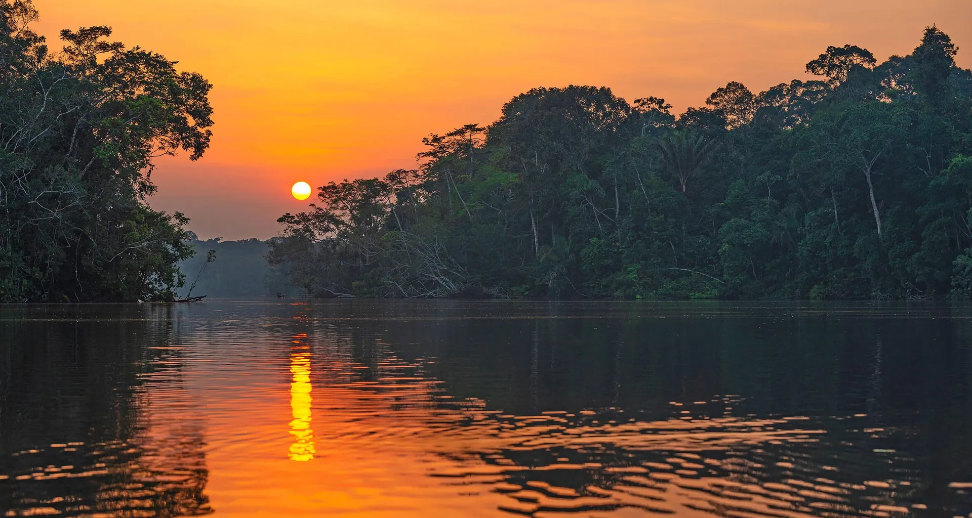 sunset in the amazon rainforest