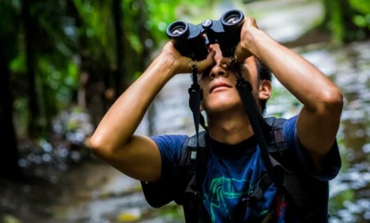 Traveler looks upward with binoculars