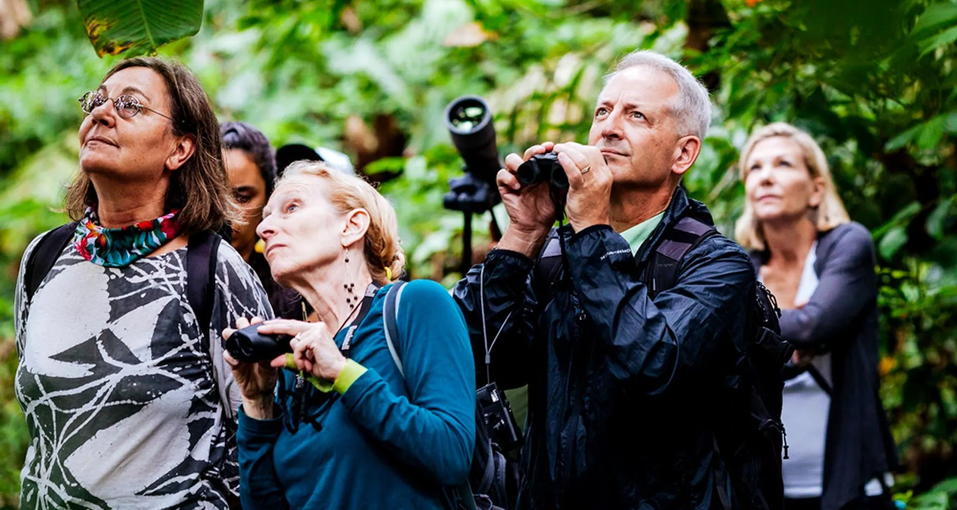 Group of travelers use binoculars in jungle