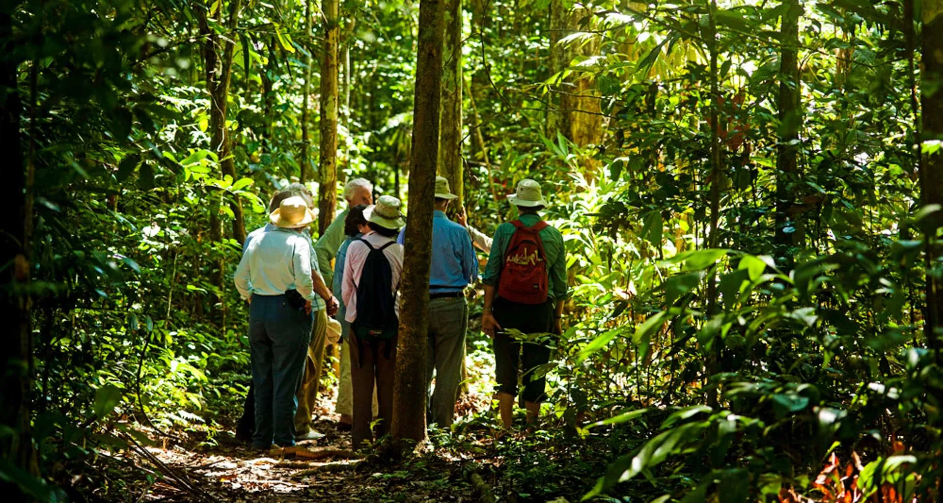 Travelers walk through forest