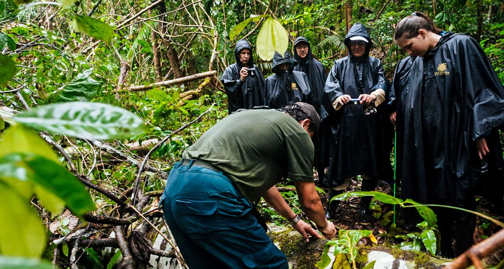 Group of travelers watches jungle guide