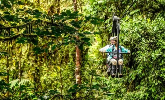 Travelers ride Sky Bike through jungle