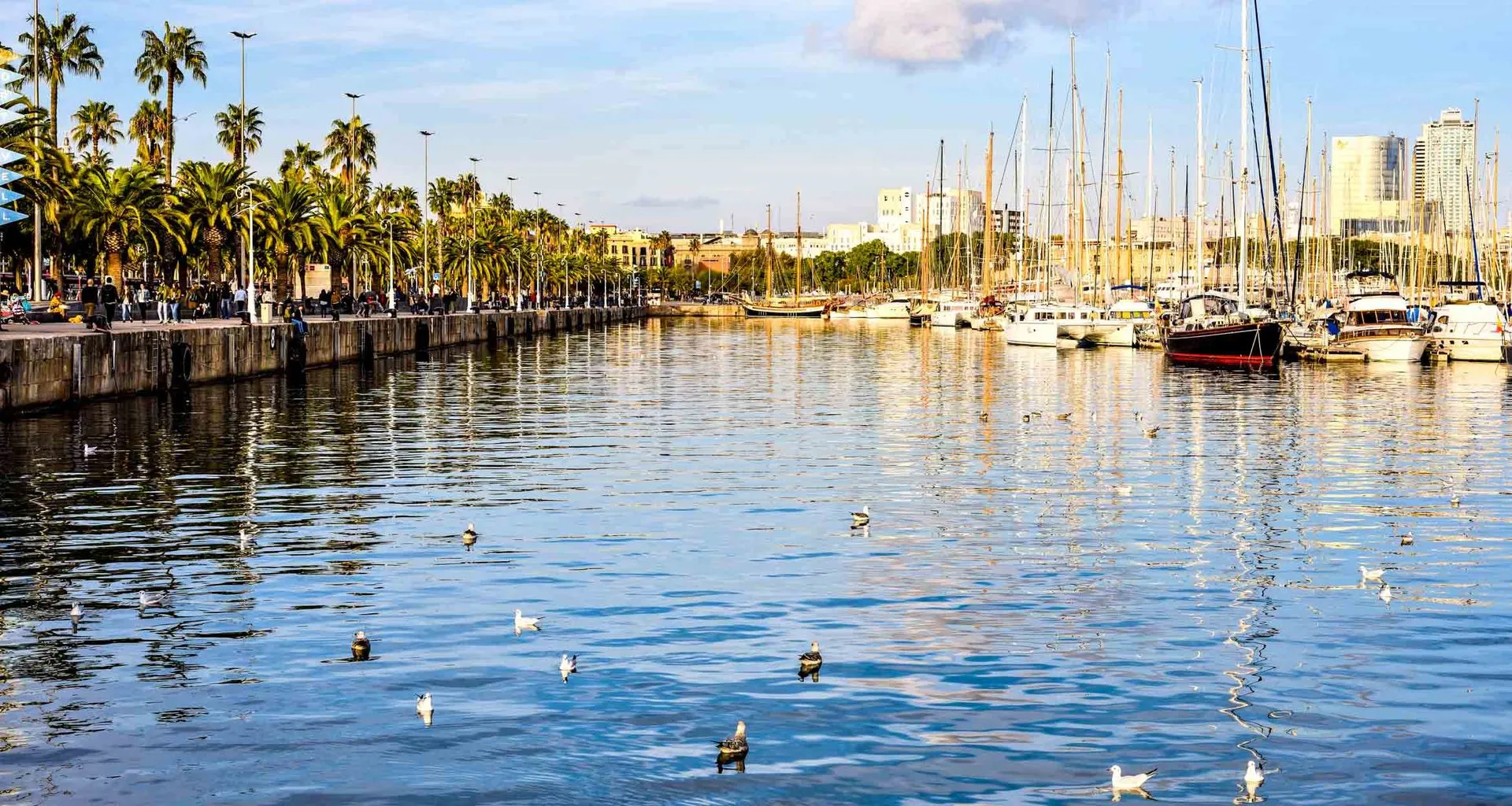 Boats moored in Uruguay harbor