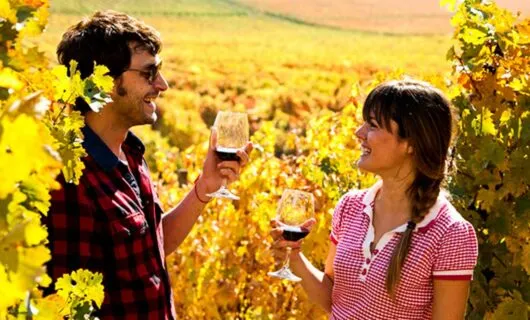 Two people drink wine in vineyards
