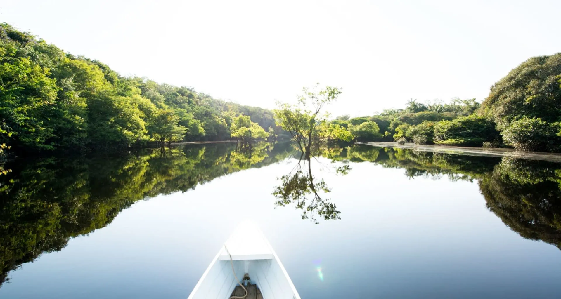 Prow of white canoe on jungle river