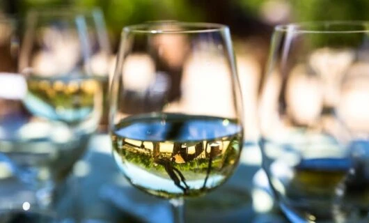 White wine in glasses