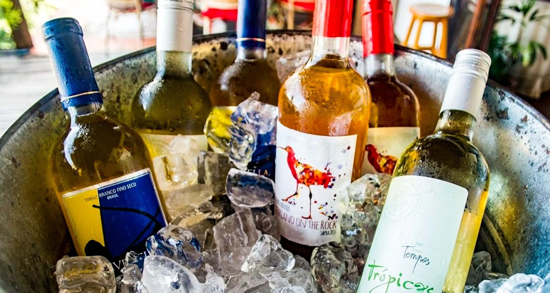 Wine bottles sit in ice bucket