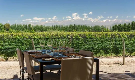 Outdoor eating area at beautiful winery during Mendoza tour