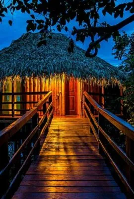 Path through trees to lit amazon jungle lodge bungalow at night