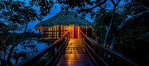 Path through trees to lit amazon jungle lodge bungalow at night