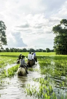 Tour group on horses through wetlands