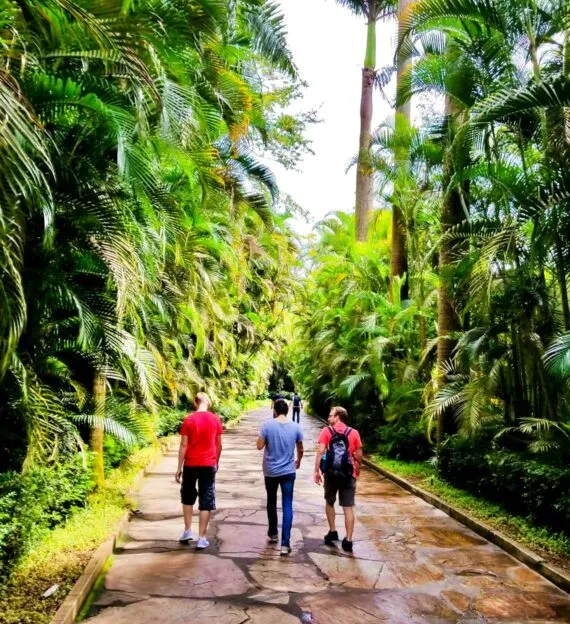 Three people walk down jungle path