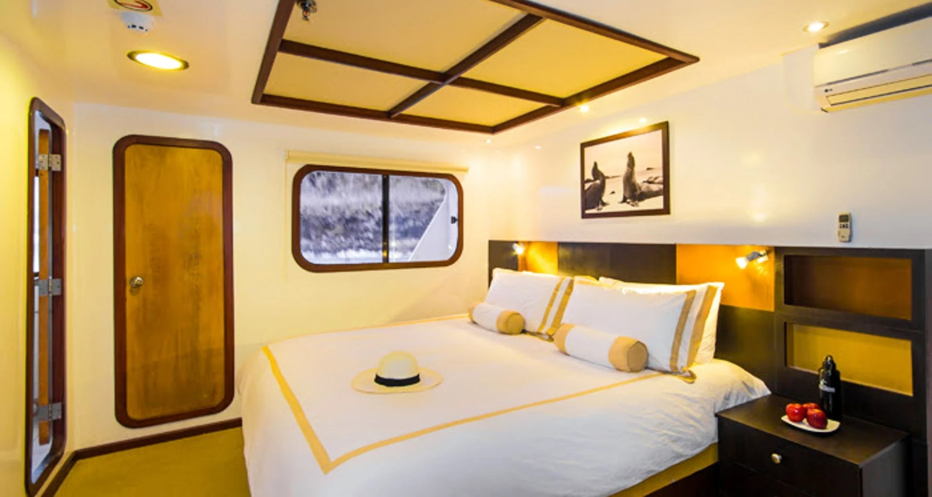 Cabin of Cormorant Galapagos cruise ship