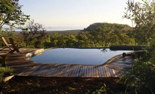 View of Galapagos forest across deck of pool