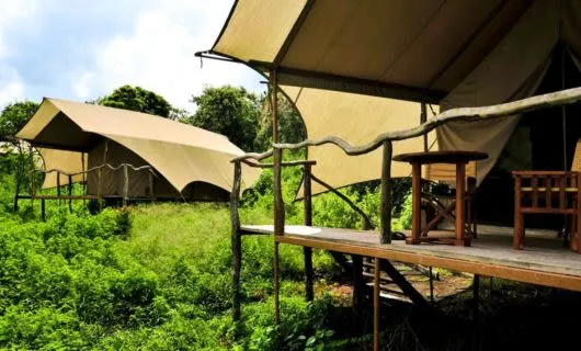 Two safari tents in Galapagos