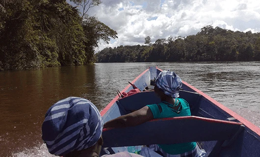 people-on-boat-riding-through-river-and-jungle-area