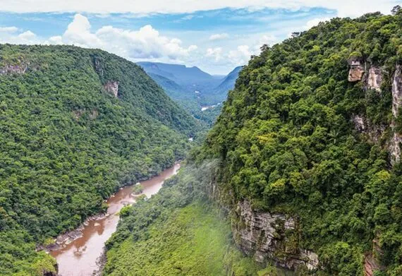 Aerial view of Kaieteur National Park in Guyana