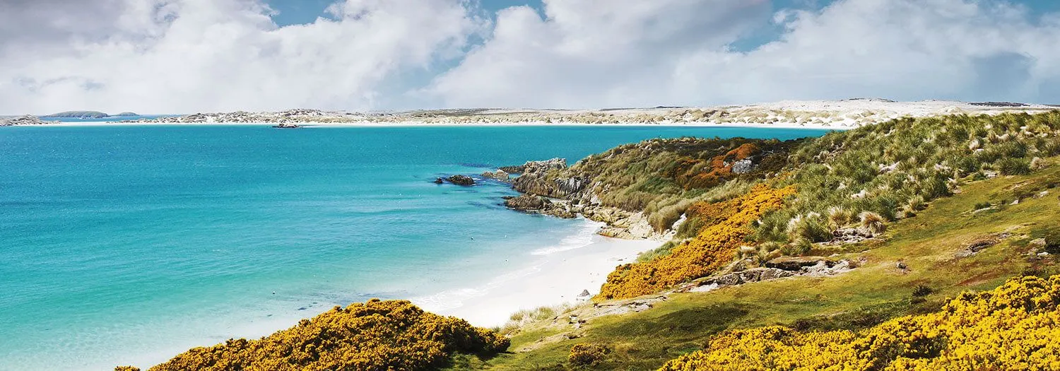 Beach in the Falkland Islands Antarctica in the summer