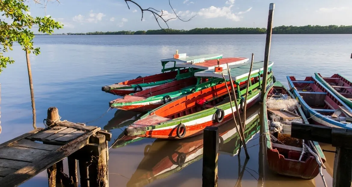 view of colorful boats in guyana