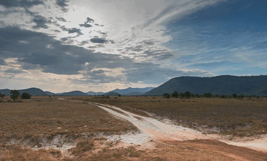 beautiful dry savannah and forrest region of Guyana