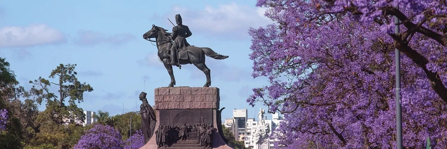 jacaranda trees in full bloom in buenos aires argentina