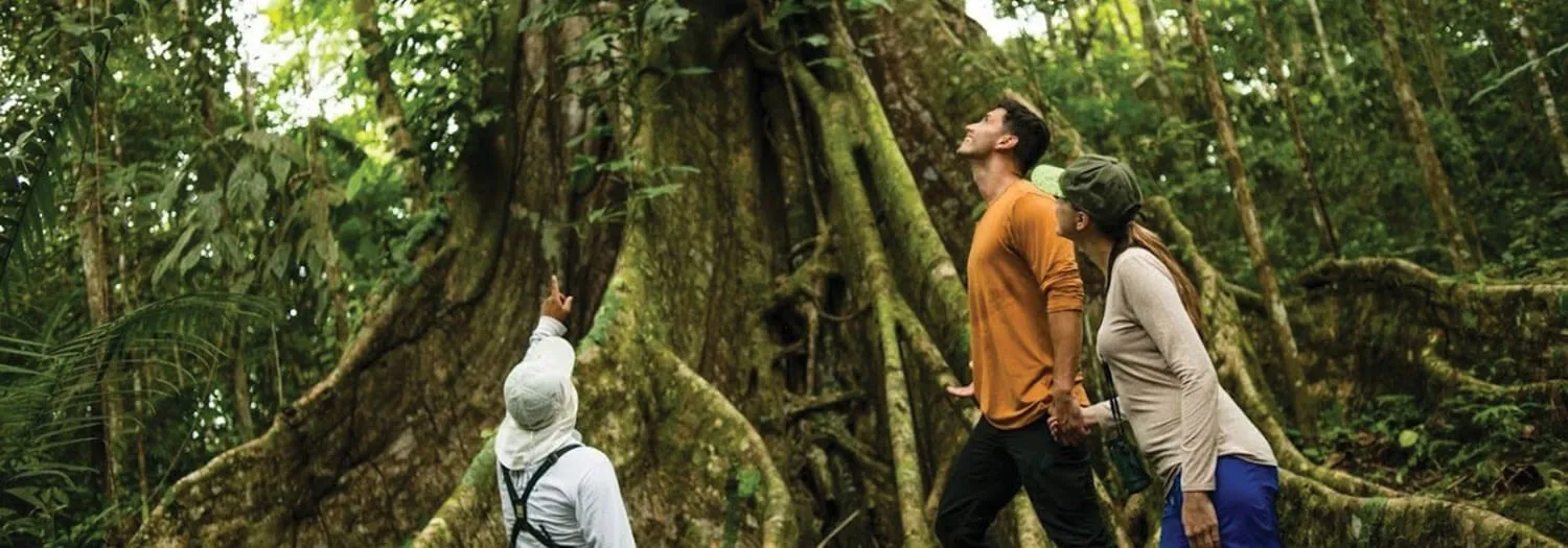 Guided hike in the Amazon during the low water season