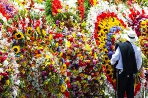 flowers in medellin