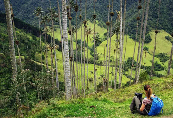 girl sitting near the palm trees in the coffee region of colombia