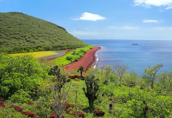 rabida island galapagos