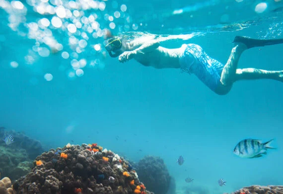 snorkeling in the galapagos