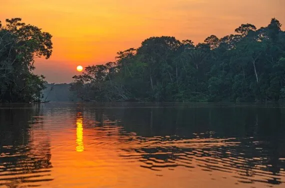 Dramatic Sunset in the Amazon