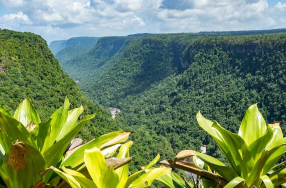 Guyana interior jungle and mountains